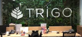 O Grupo Trigo