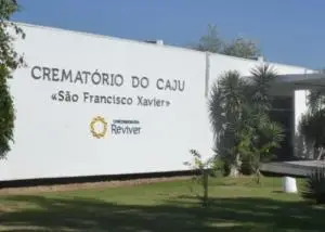 Concessionária Reviver Abre 20 Vagas para Técnicos em Atendimento e Vendas